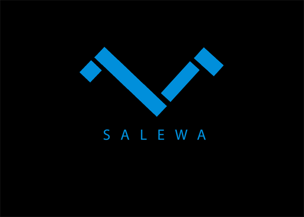 Salewa brand logo, blue V mark